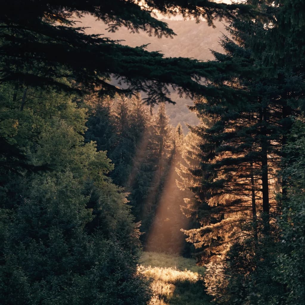 Sojourn
