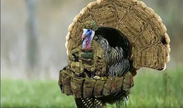 Tactical Turkey