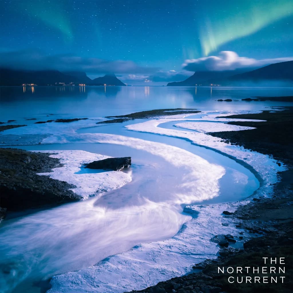 Nordic Trap