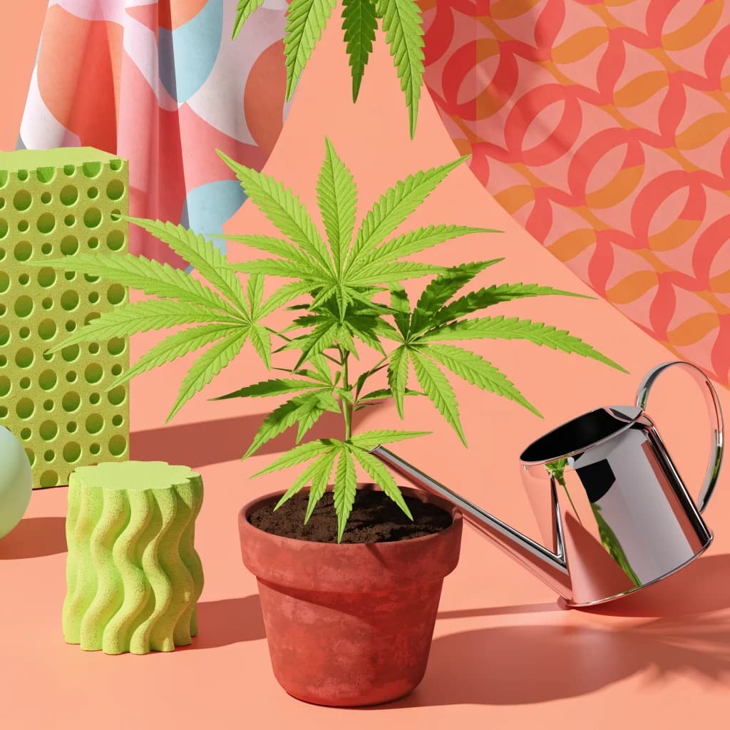 Love weed