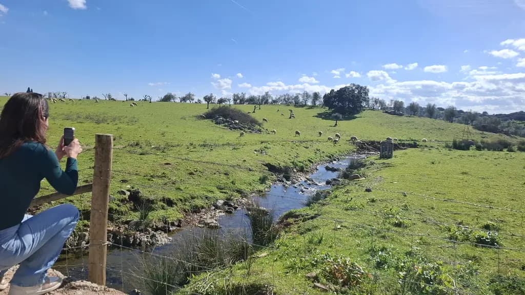 Moonlit Swing Accident