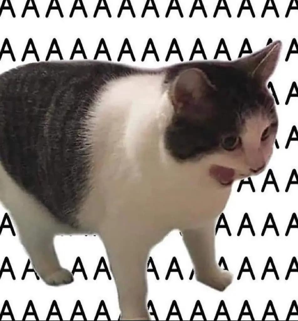 Jamie's Slop Song