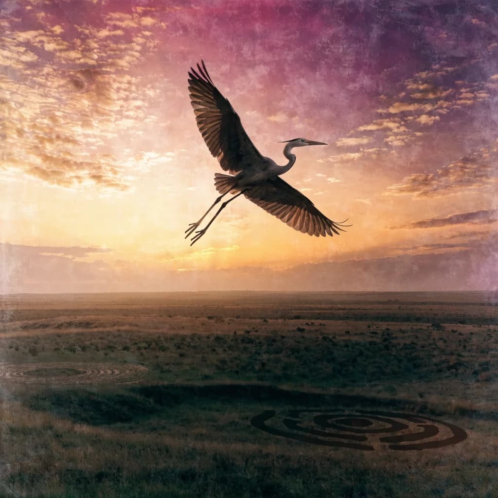 Serengeti Sunrise