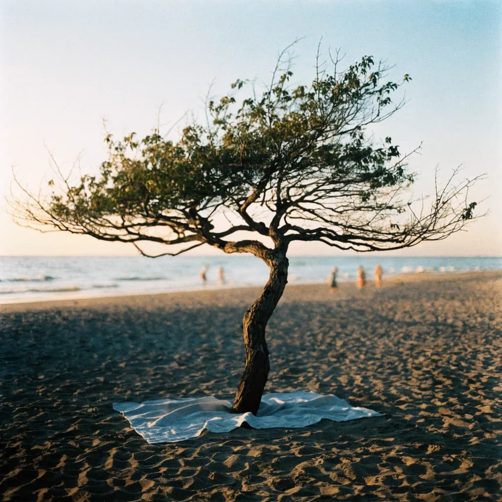 Guided Meditation, Day At The Beach