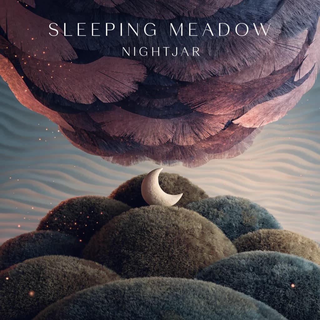 Nightjar Lullabies