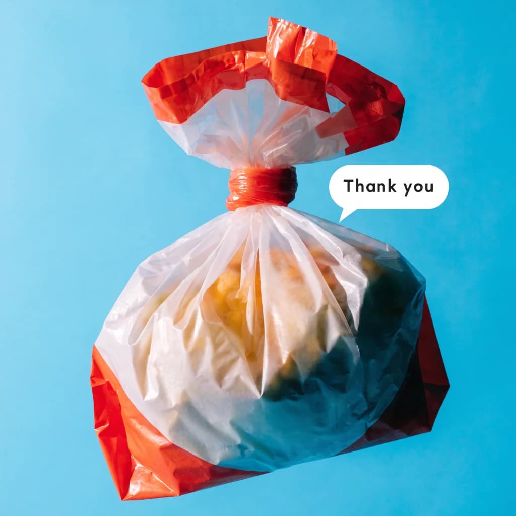 Your To-Go (by Sunshine Stomach)