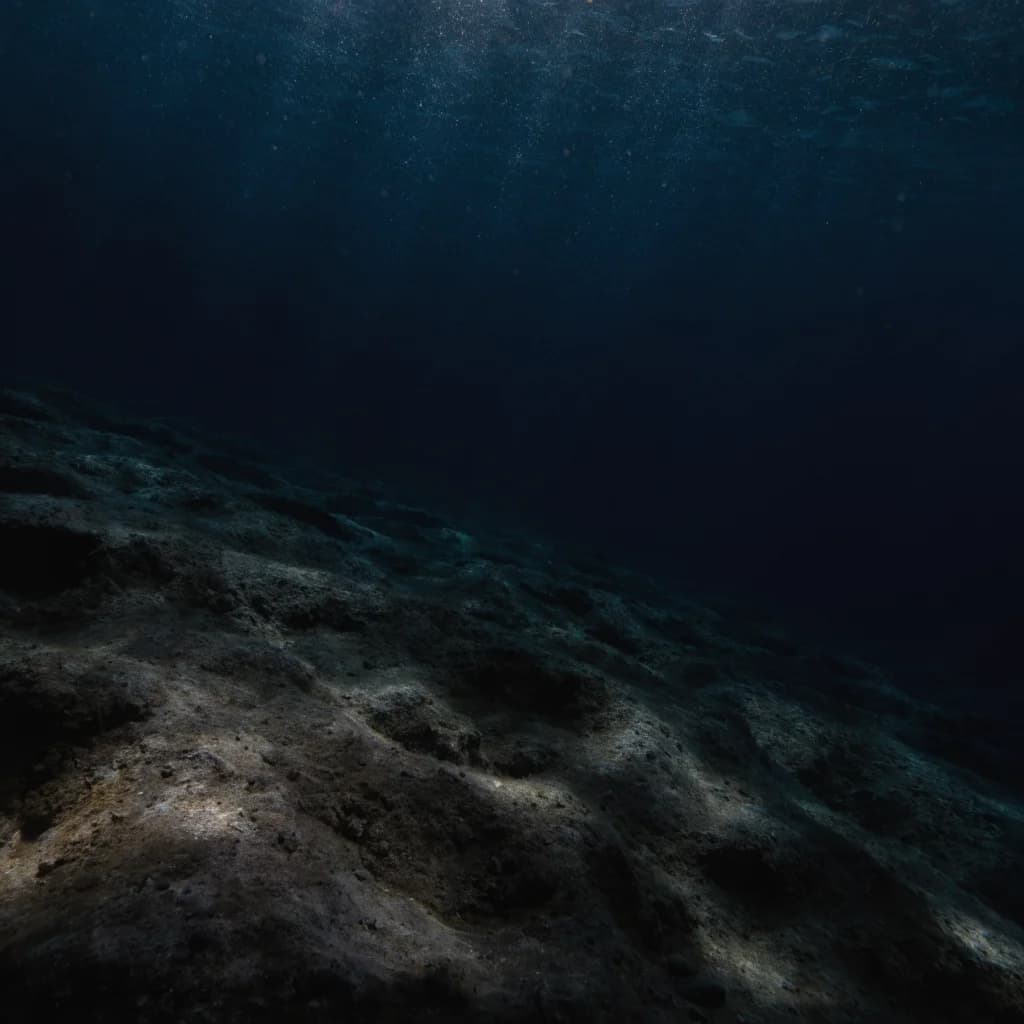 Below the Surface