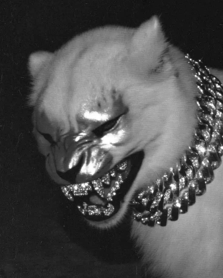 Run this town