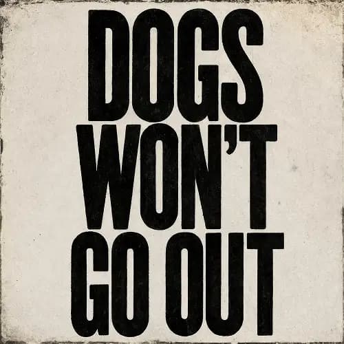 Dogs Won't Go Out