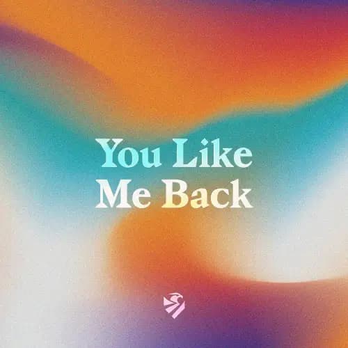 You Like Me Back
