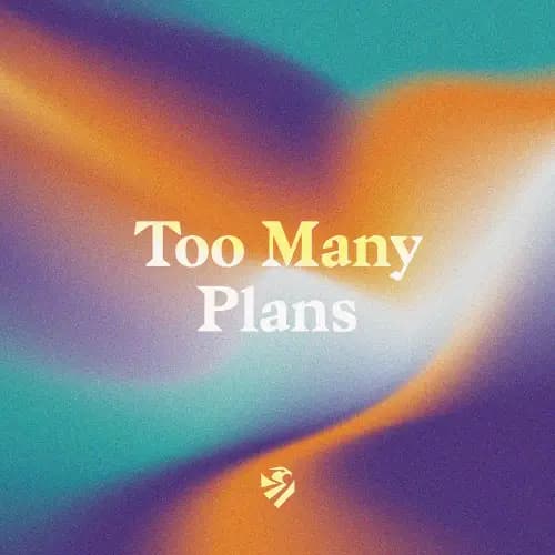 Too Many Plans