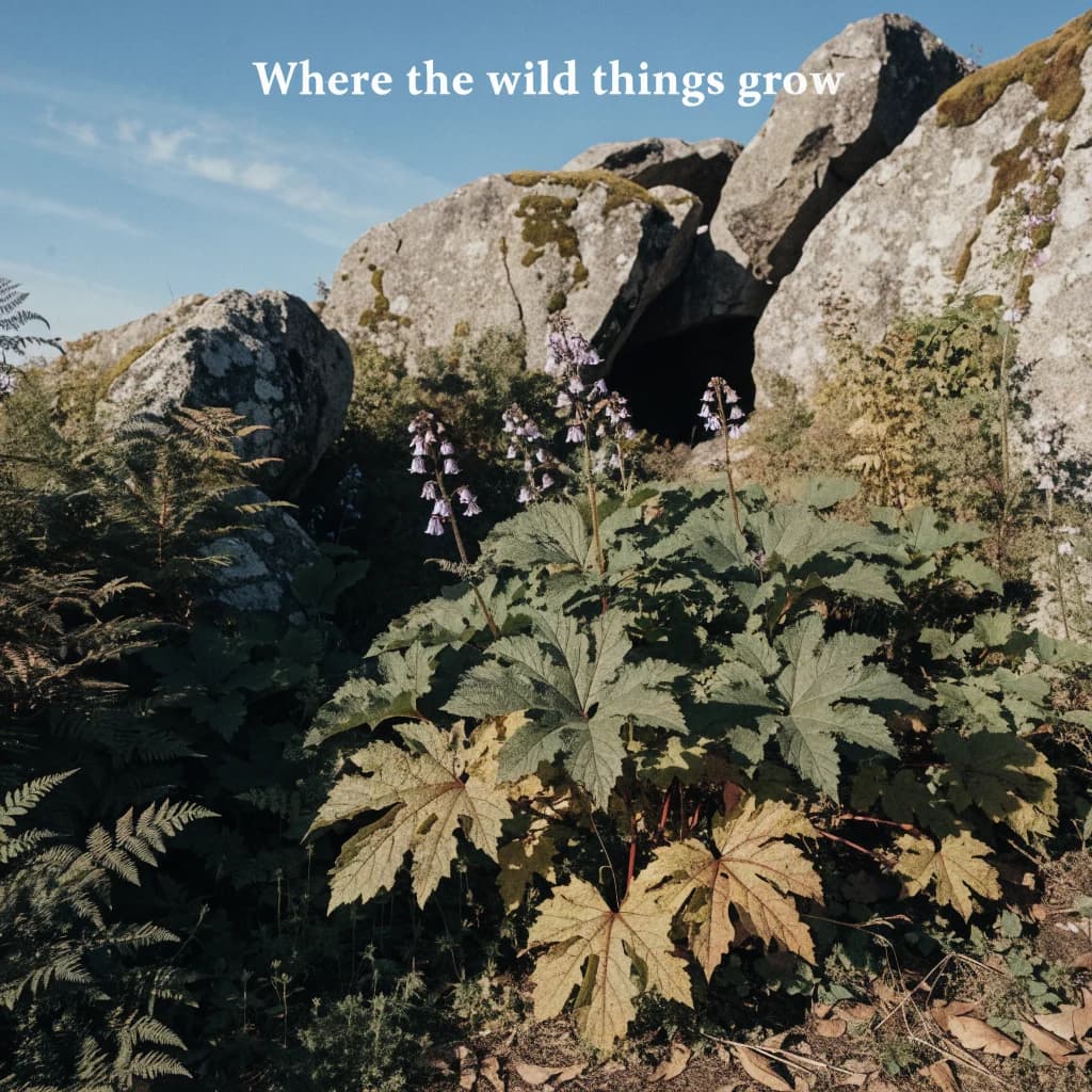 Where The Wild Grow