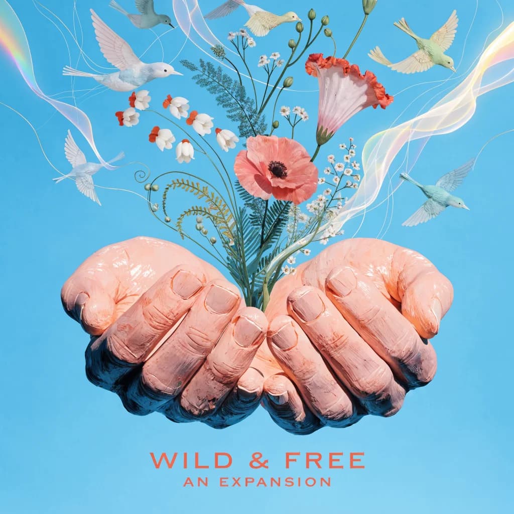 Hands Wide Open