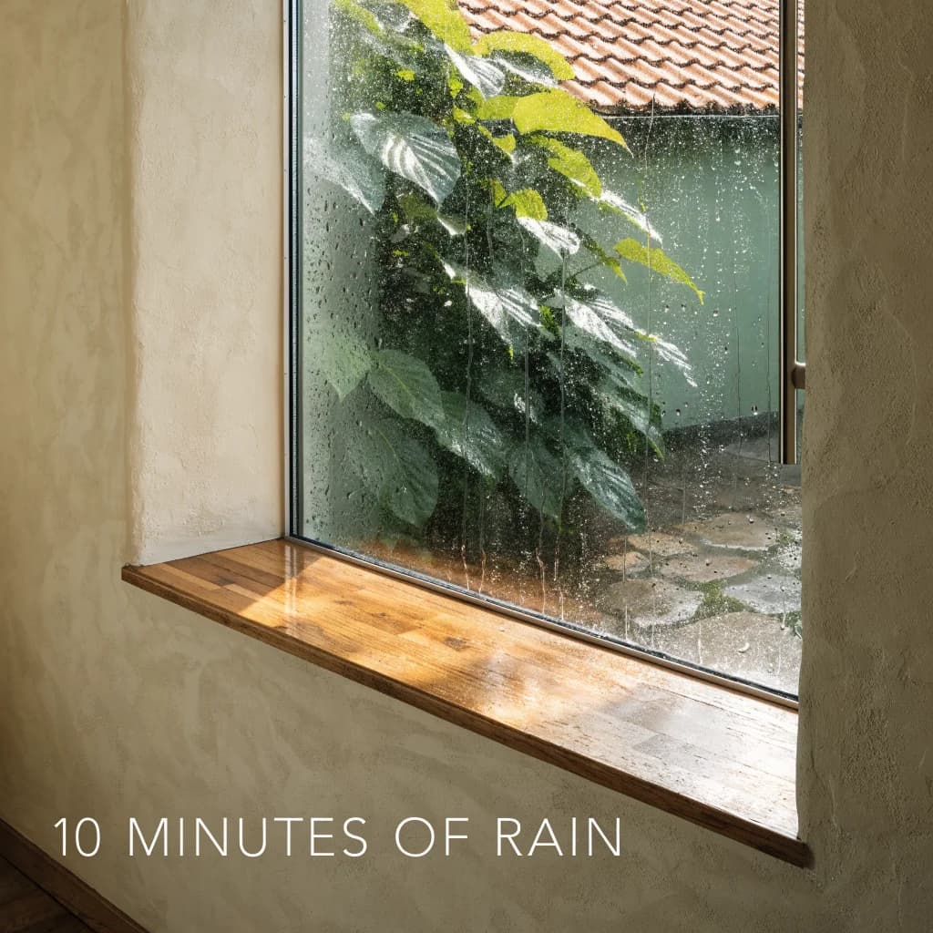 quiet sanctuary rain
