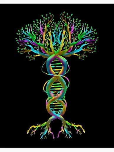 DNA