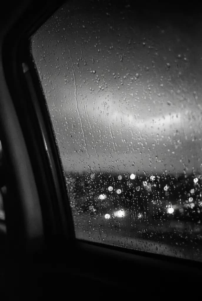Rainlight Horizon