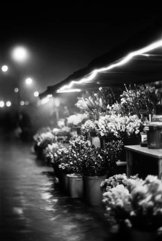 Distance