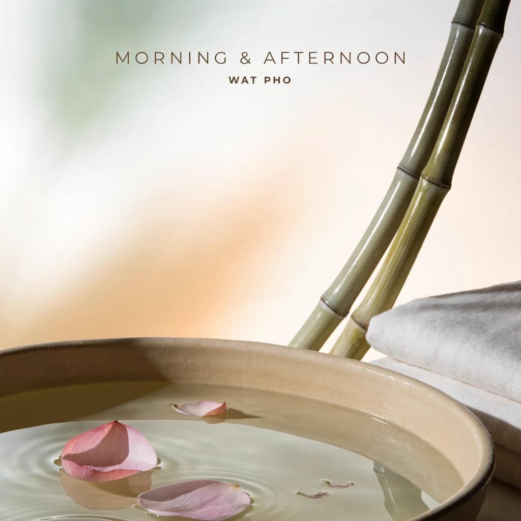Gentle Morning Solace