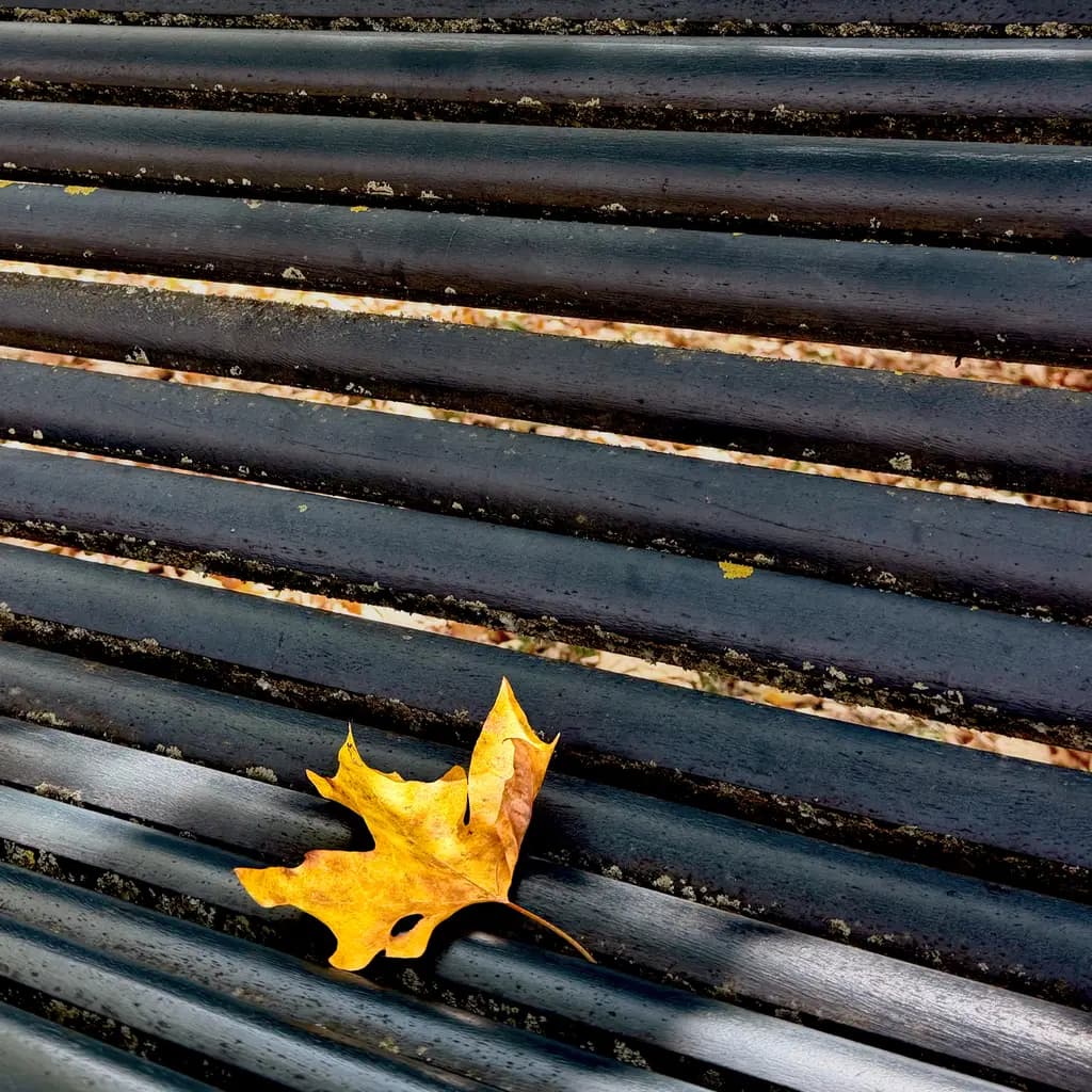 Summer’s good-bye