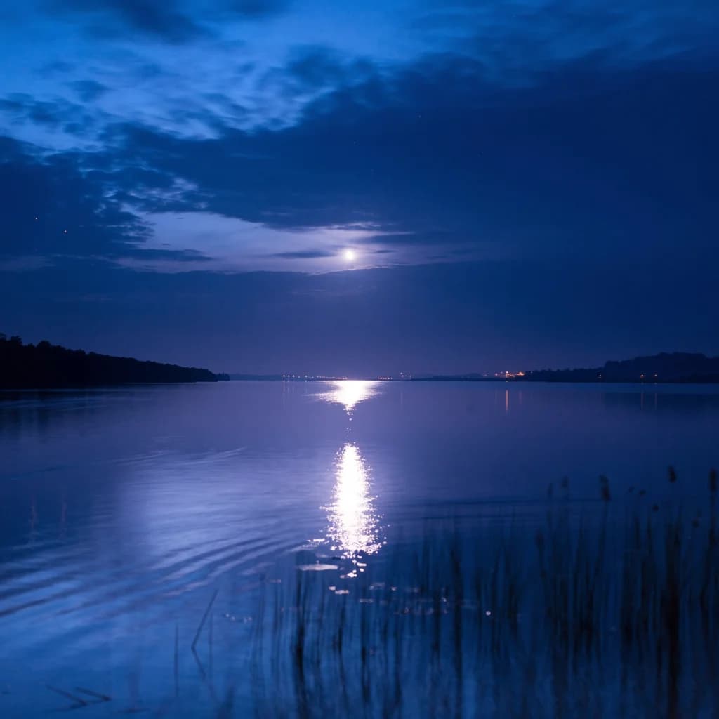 Lost in the quiet space 2