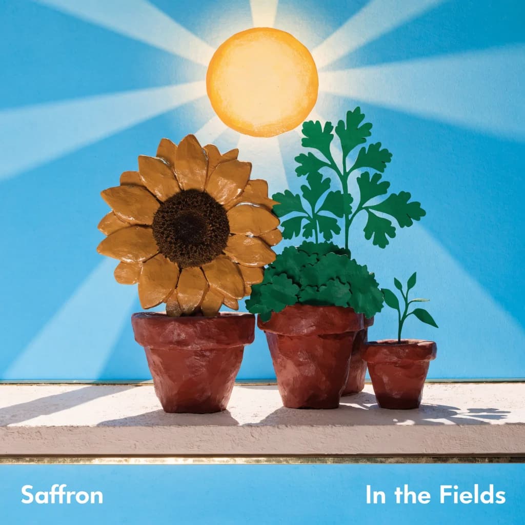 Sun-Kissed Fields