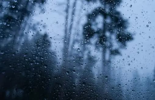 Silent Rain