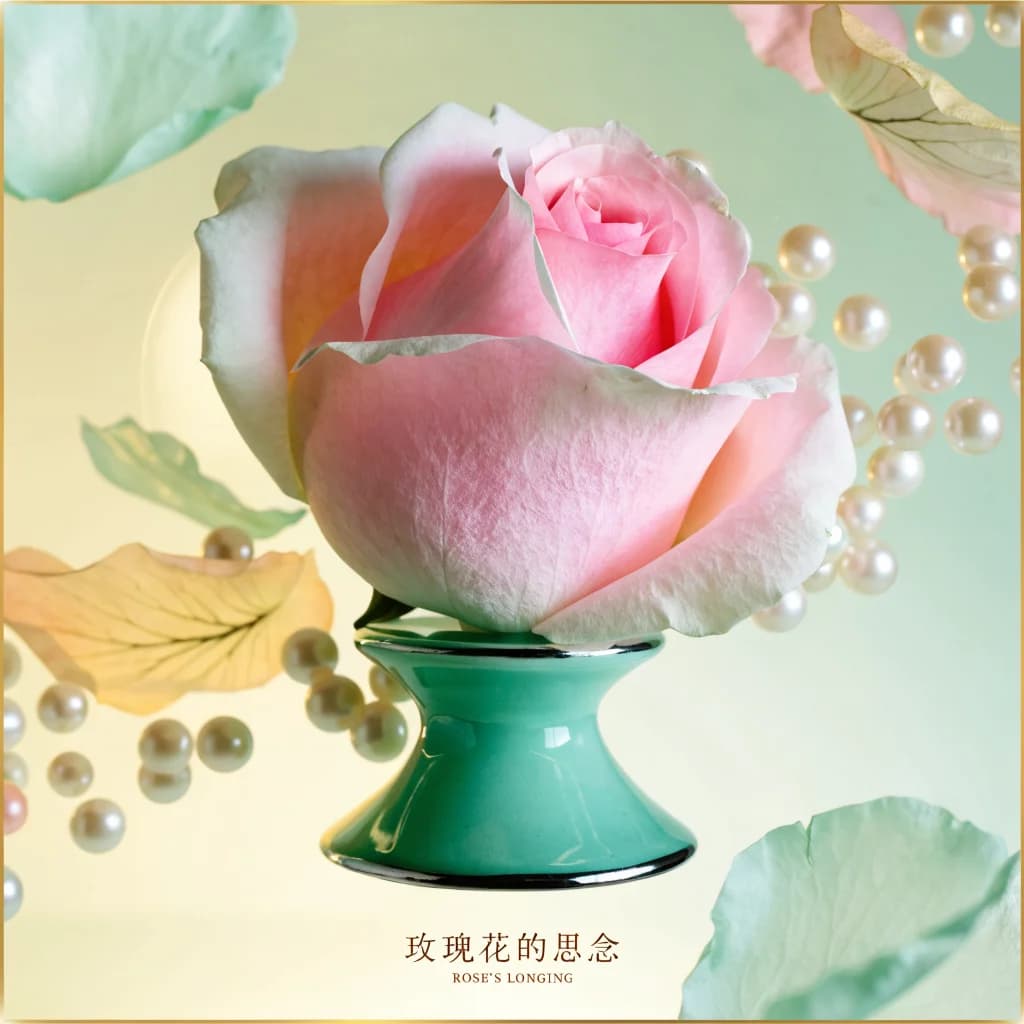 Quiet Rose Blossom