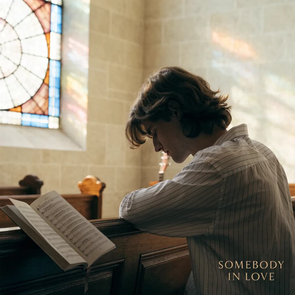 brown hair in the pews
