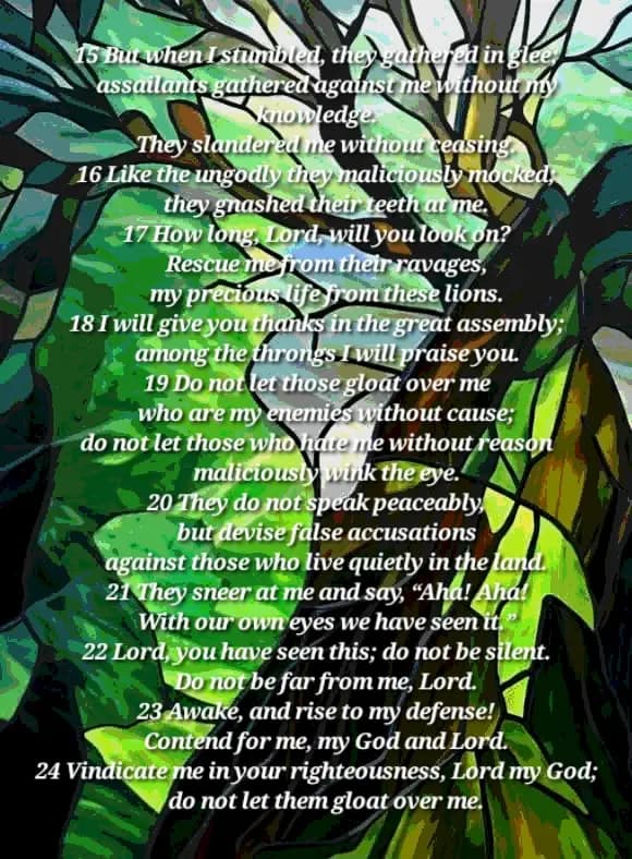 Rise, My God And Lord (Psalm 35)
