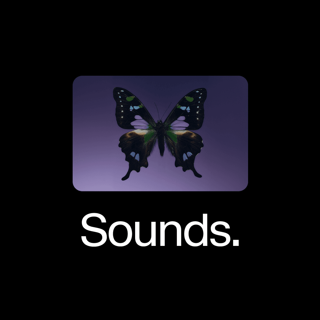Sounds on ElevenMusic: a free library of AI sounds and loops
