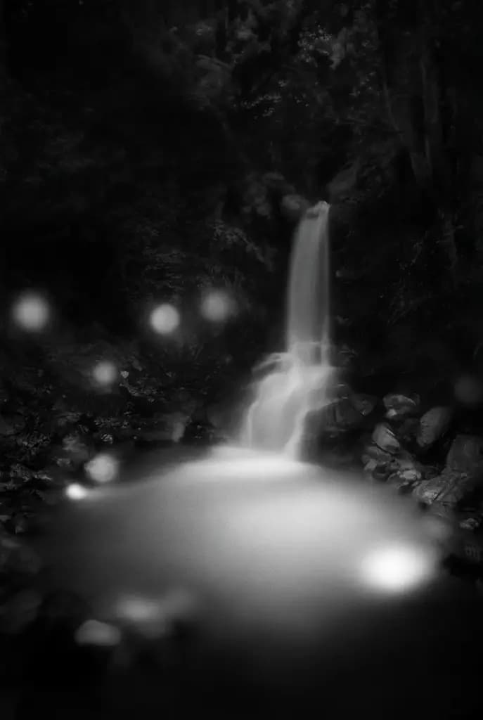 Moonlit Wispers